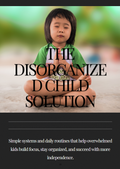 The disorganized child solution