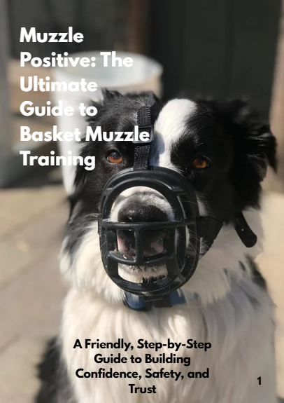 Muzzle Positive: The Ultimate Guide to Basket Muzzle Training